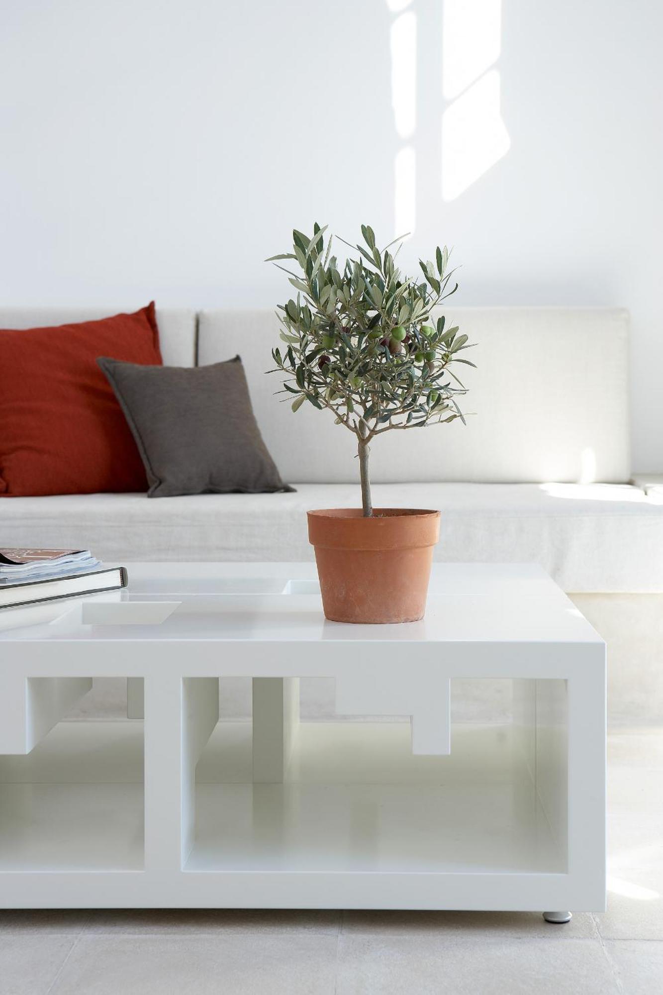 Villa Fabrica Santorini Pýrgos エクステリア 写真